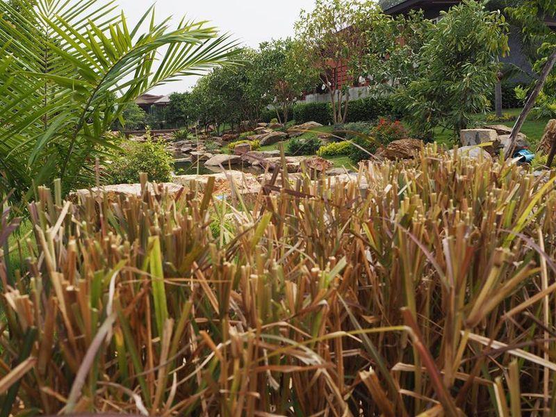 Ban Huai Sua The Canal Garden Resort מראה חיצוני תמונה